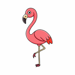 flamingo vector illustration