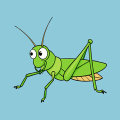 green grasshopper isolated on white background