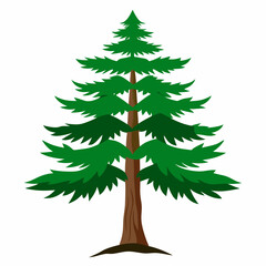 christmas tree isolated on white  hemlock