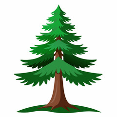 green christmas tree  hemlock