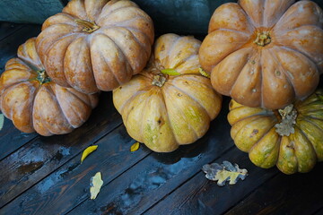 Several pumpkins are stacked on top of each other on the threshold of the building. Autumn. Rainy...