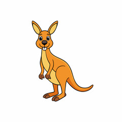 kangaroo vector illustration