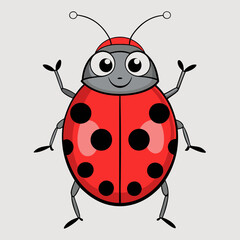 ladybug vector illustration