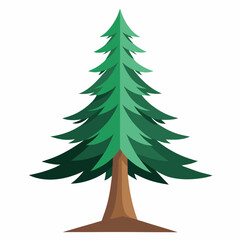 pine tree vector illustration
