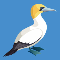 northern gannet on a branch