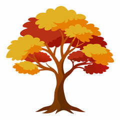 paperbark maple tree vector illustration