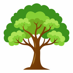 tree with green leaves