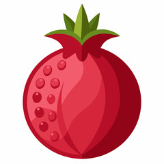 vector illustration of a pomegranate