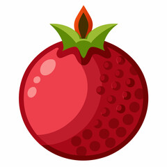 Obraz premium vector illustration of a pomegranate