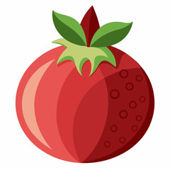 vector illustration of a pomegranate