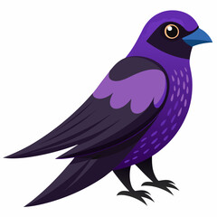 purple martin bird on a branch