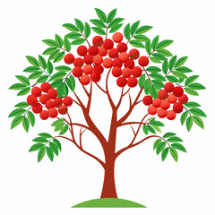 vector illustration of a tree