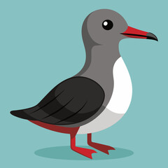 illustration of a sooty shearwater