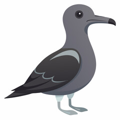 illustration of a sooty shearwater
