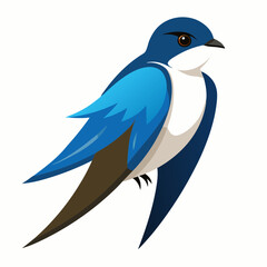 illustration of a swallow