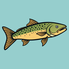 trout fish on white