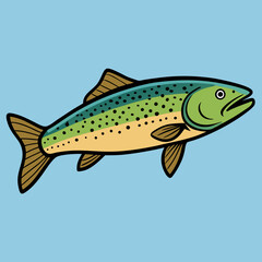 trout fish on white