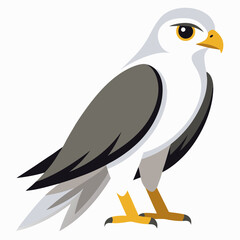 kite tailed cartoon isolated 