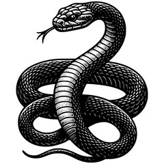 Cobra Snake Illustration