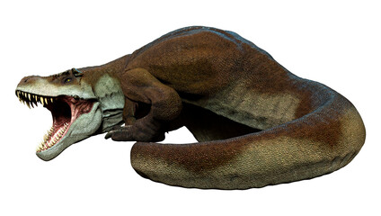 3D Rendering Tyrannosaurus Mcraeensis on White