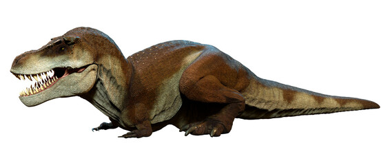 3D Rendering Tyrannosaurus Mcraeensis on White