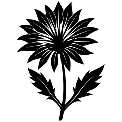  chicory silhouette vector illustration