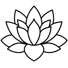  water lily vector illustration