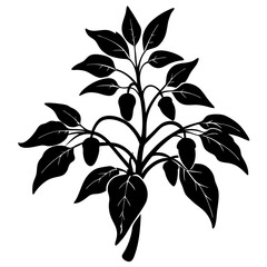 branch of a tree