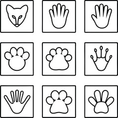 Fototapeta premium Animal Tracks, Paws, Hands A Visual Comparison of Prints