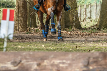 Equestrian athlete competing in eventing at a cross-country course during a spring day