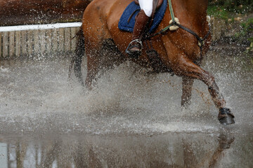 Equestrian eventing rider navigates water obstacle during competition at local riding arena