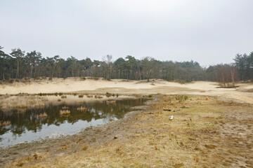 Fototapeta premium Vast sandy landscape with calm water reflecting trees in a peaceful natural setting during a cloudy day