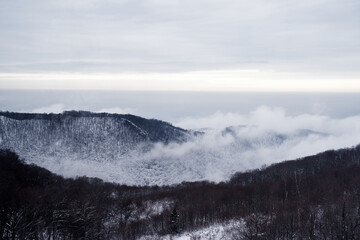 A serene winter landscape featuring snow-covered hills and valleys, with fog drifting under a cloudy sky, creating a tranquil and picturesque view