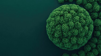 A moss covered sphere shaped natural element representing the sustainable eco friendly and ethical goals of ESG Environmental Social and Governance investments and green finance strategies