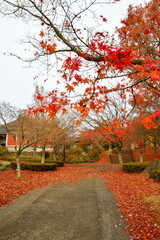 Naklejka premium 史跡恵日寺日本庭園（福島県）