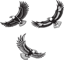 Obraz premium Vector illustration of a flying eagle, available for purchase at $1 USD, showcasing its majestic wingspan