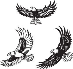 Fototapeta premium Vector illustration of a flying eagle, available for purchase at $1 USD, showcasing its majestic wingspan