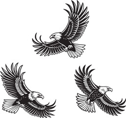 Fototapeta premium Vector illustration of a flying eagle, available for purchase at $1 USD, showcasing its majestic wingspan