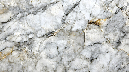 Fototapeta premium Elegant White Marble Close-Up with Veining Patterns