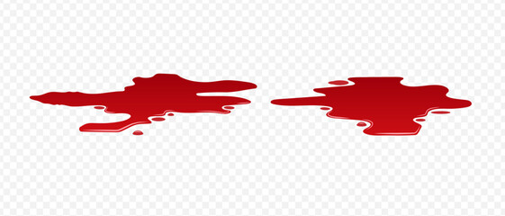 Blood spilled or paint. Two puddle of blood. Fresh blood. Puddle of red paint. Site of occurrence. Crime scene.	
