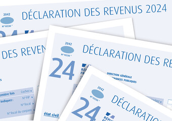 Impôts sur les revenus 2024 - Déclaration