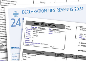 Impôts sur les revenus 2024 - Déclaration