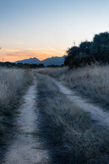 Cold scene of a rural road created by offroads recedes into the horizon. It marks a path surrounded by nature, grasses, trees and in the background a mountain range at sunset. Freedom and adventure