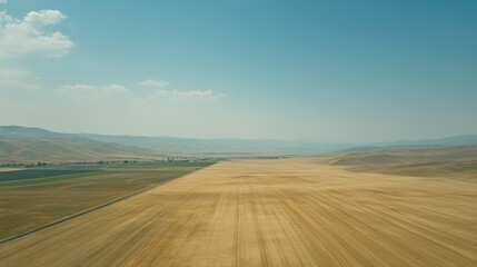Obraz premium A vast agricultural field under a glowing sunrise with a clear blue sky above.