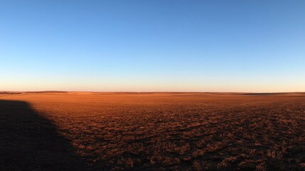 A vast agricultural field under a glowing sunrise with a clear blue sky above.