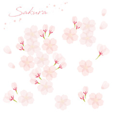 桜の手書き水彩画イラスト