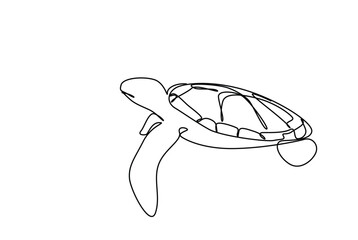 Line drawing of ocean turtle simboizes freedom