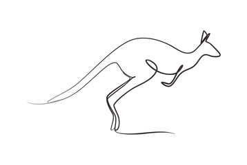 Fototapeta premium kangaroo is endemic animal from australia that has unique movement