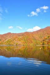 二子島森林公園の紅葉（新潟県）