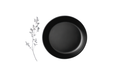 A stylish black plate paired with an elegant sprig, perfect for modern dining settings and culinary presentations.